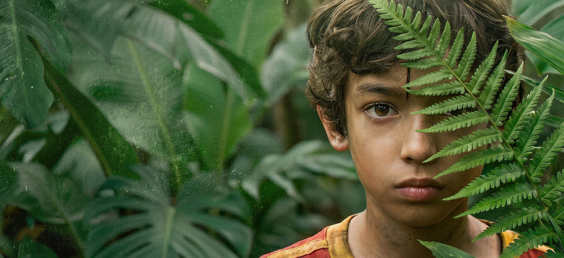 Miguel observe la forêt derrière une fougère dans Je n’ai pas peur sur Netflix